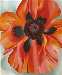 Red Poppy, 1928